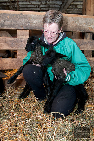 042012_lambs_0155