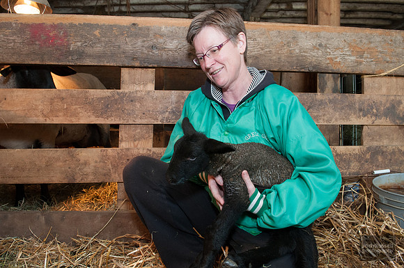 042012_lambs_0145